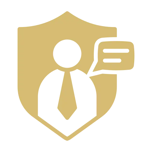 Security consulting icon